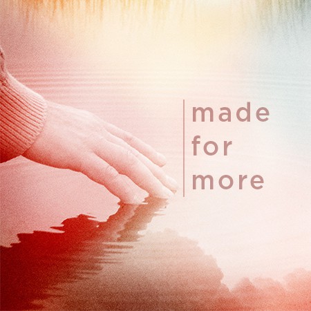 Featured image for “Made For More”