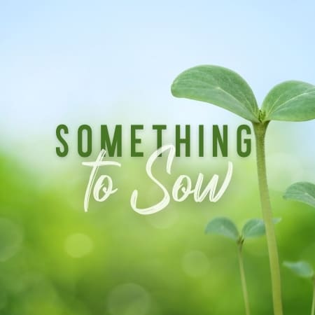 Featured image for “Something to Sow”
