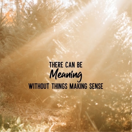 There Can Be Meaning Without Things Making Sense