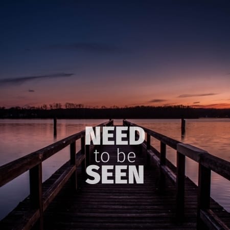 Featured image for “Need to Be Seen”