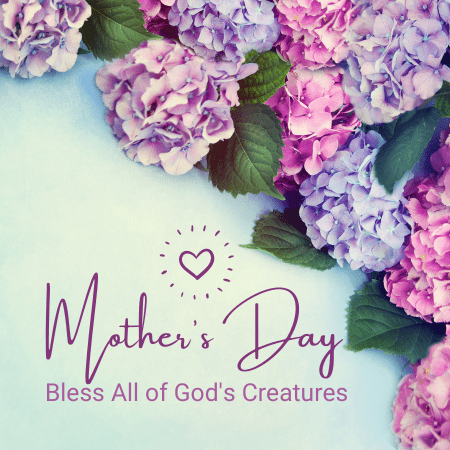 Featured image for “Mother’s Day”