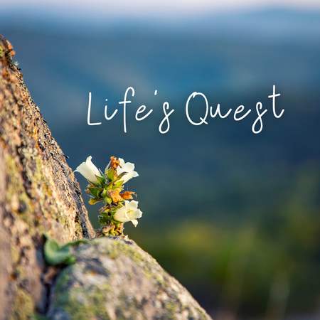 Featured image for “Life’s Quest & Words from Leadership”