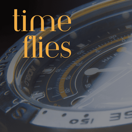 Featured image for “Time Flies”