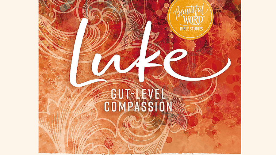 Featured image for “Luke: Gut-Level Compassion”