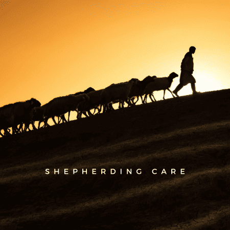 Shepherding Care