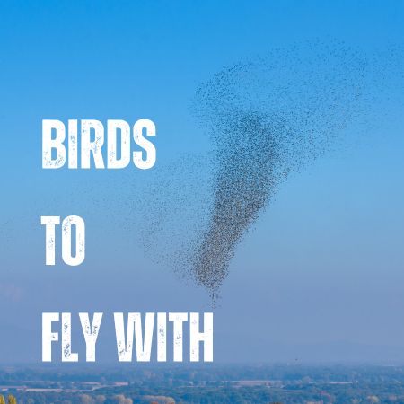 Featured image for “Birds to Fly With”