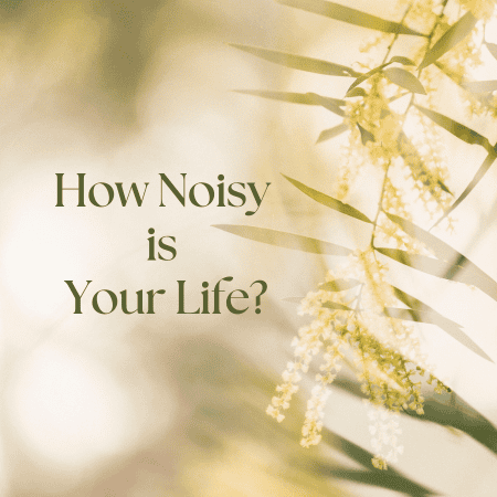 How Noisy is Your Life