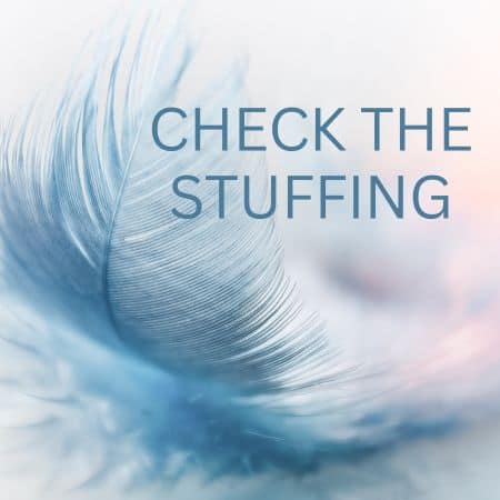Featured image for “Check the Stuffing”