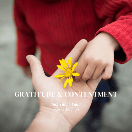 Featured image for “Gratitude & Contentment”