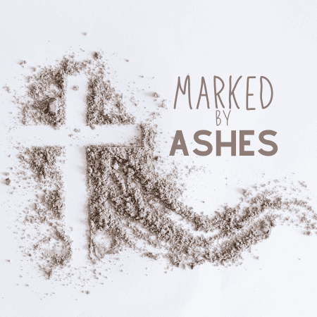 Featured image for “Marked By Ashes”