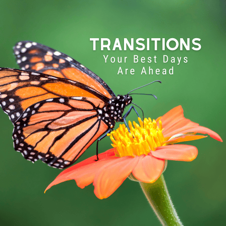 Featured image for “Transitions 1”