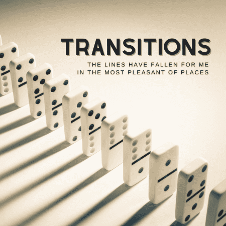 Featured image for “Transitions 2”