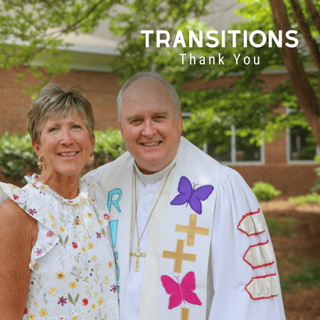 Featured image for “Transitions 3”