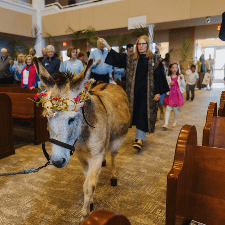 Featured image for “Outside the Box: Give Church a Chance”